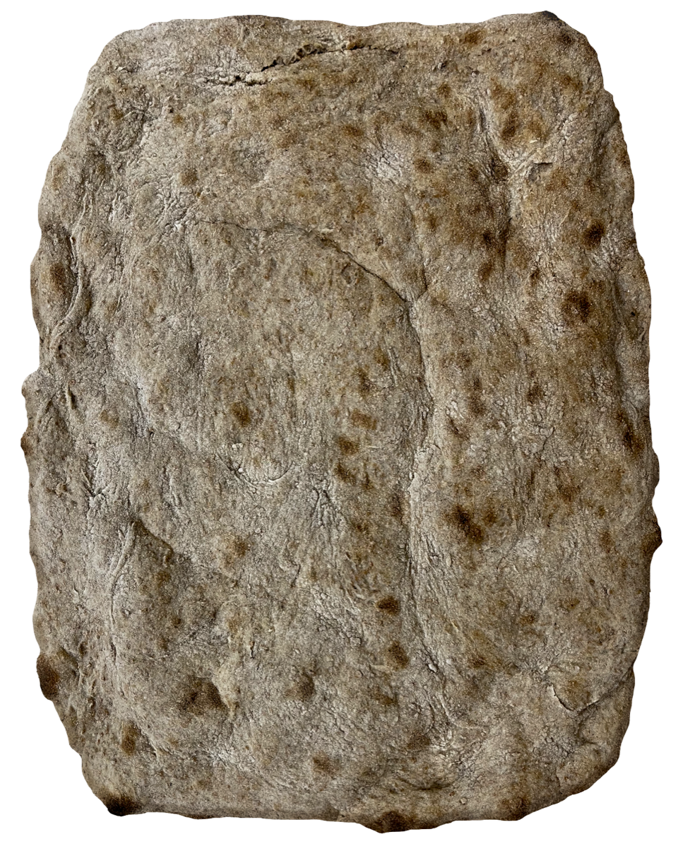 Schiacciata con farina integrale